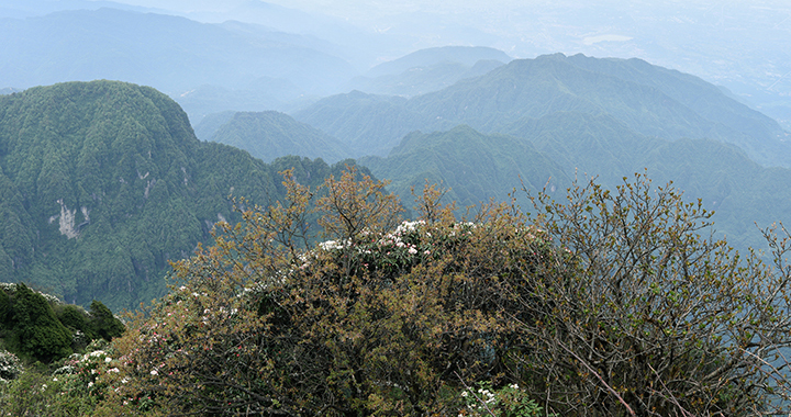 风景优美的句子，四季画卷——大地的诗篇（通用2篇）(图3)