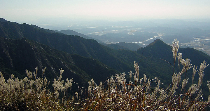 描写乡村景色的句子，乡野画卷——诗意栖居的田园风情（通用2篇）(图2)